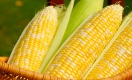 Treba jesti kuvani kukuruz – evo i zbog čega