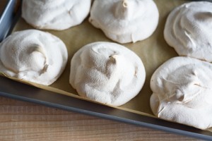 kokos puslice