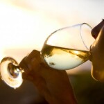 belo vino 2